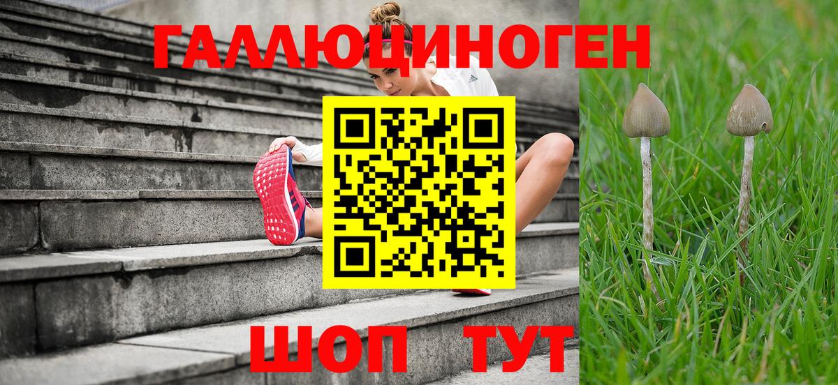 Алейск  Галлюциногенные грибы MAGIC MUSHROOMS  Вход с VPN  Галлюциногенные грибы ЛСД 